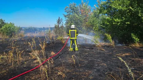 Майже 25 пожеж за добу: на Черкащині горіли сухостій, очерет і навіть солом'яні тюки