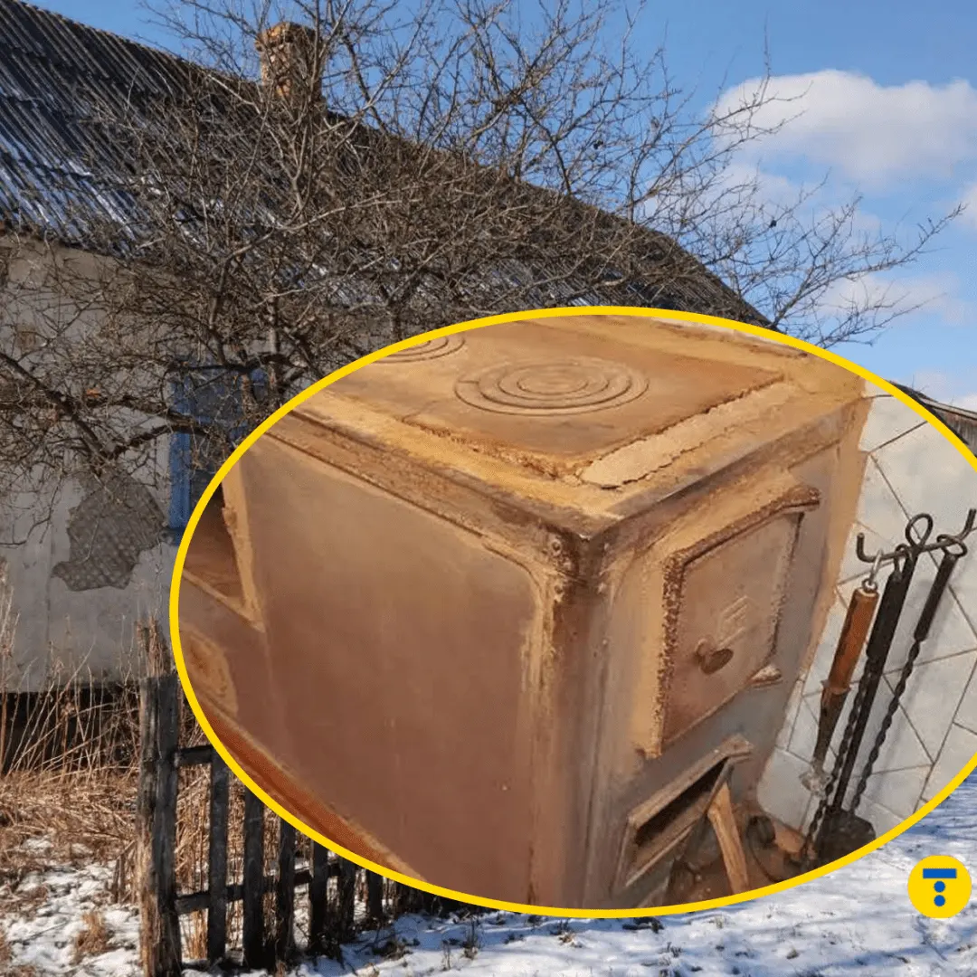 Чому переїзд у село цієї зими може стати пасткою: поради екоактивіста