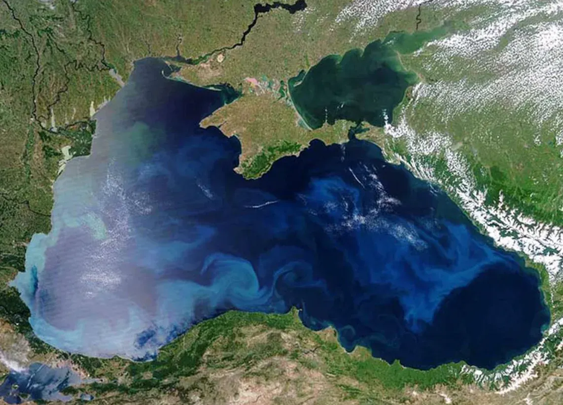 Індія терміново шукає заміну соняшниковій олії через кризу в Чорному морі