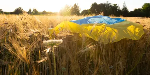 Через блокаду портів Україна може скоротити посівні площі на 5-7 млн га