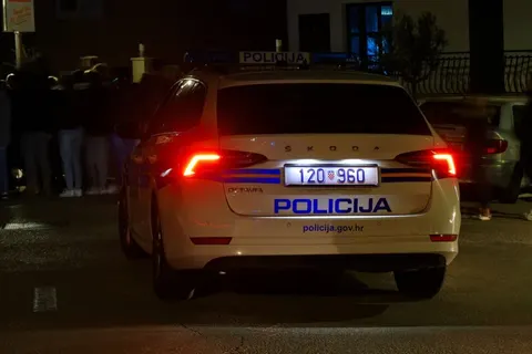 У Хорватії за підпали лісів затримали чотирьох, серед них — полячка