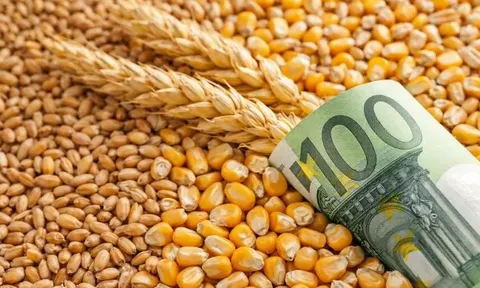 Уряд скоригував мінімальні експортні ціни на агропродукцію: що зміниться