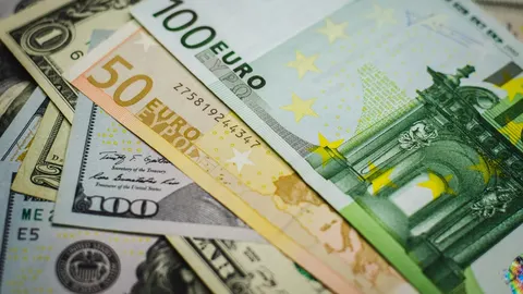 Українці у липні менше купували валюту: що каже Нацбанк
