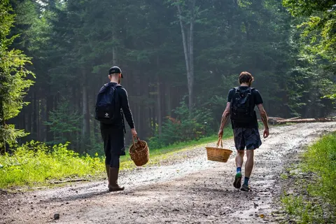 Камуфляж у лісі може бути небезпечним: що обрати для походу