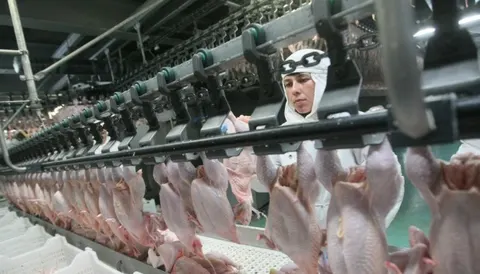 Україна наростила експорт курятини, але заробляє на ньому менше