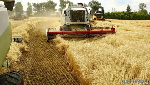 Вінниччина зібрала 60% ранніх зернових: врожайність перевищує торішню