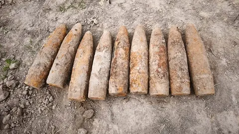 На Львівщині під час земляних робіт викопали 230-мм снаряд часів Другої світової