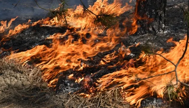 Шостий день у Ялті гасять лісову пожежу: вогонь на схилах, смог над містом