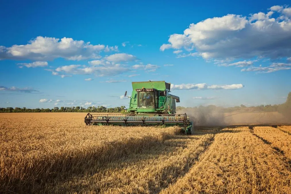 Ціни на продукти б'ють рекорди: що чекає на хліб та базовий кошик