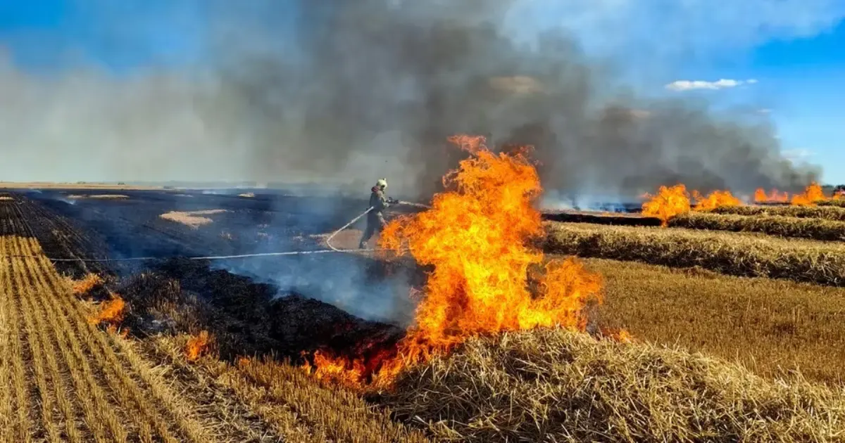 На Вінниччині за добу згоріло понад 9 гектарів сухостою та сміття