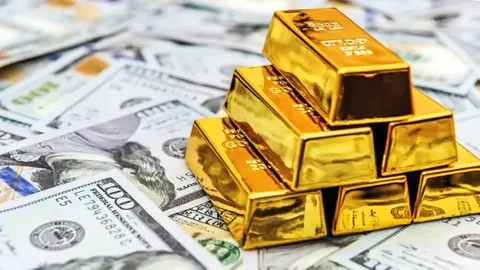 Резерви України скоротилися до $48,7 млрд: що вплинуло