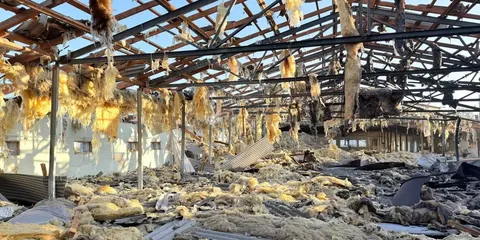 Удар по Чернігівщині: знищено пташник із 20 тисячами голів птиці
