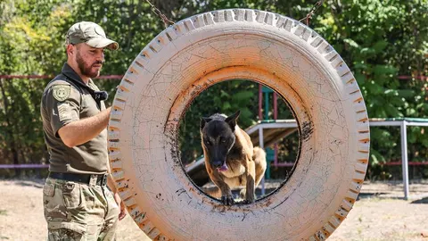 11-місячна вівчарка Бета на Миколаївщині шукає наркотики: вже знайшла 2 кг