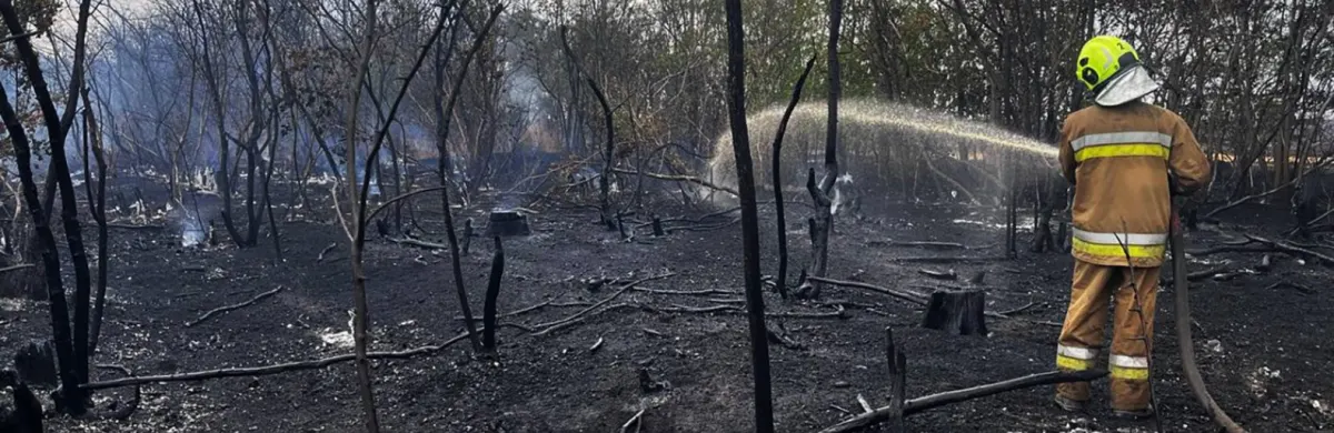На Миколаївщині рятувальники загасили десятки пожеж після атак БпЛА та сухостою