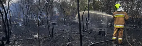 На Миколаївщині рятувальники загасили десятки пожеж після атак БпЛА та сухостою