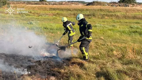 Вогонь на Волині: за добу рятувальники загасили чотири пожежі в екосистемах