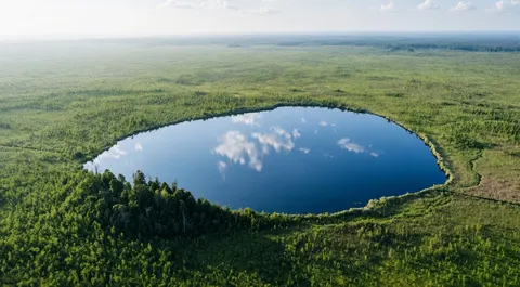Волинське озеро віком 8 тисяч років: темна вода, три джерела і рідкісні рисі