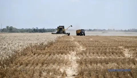 Чехія готується до найгіршого врожаю зернових за 14 років