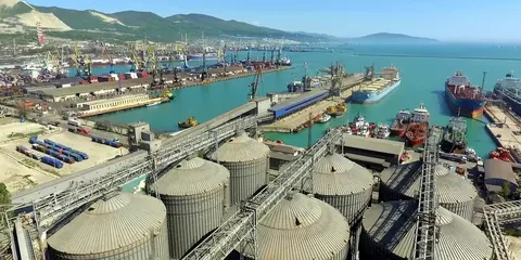Удар по Новоросійську: два найбільші зернові термінали РФ зупинилися