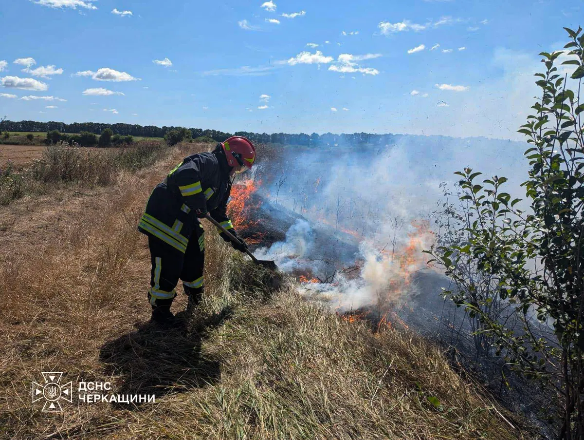 На Черкащині за добу сталося 29 пожеж: більшість — у екосистемах