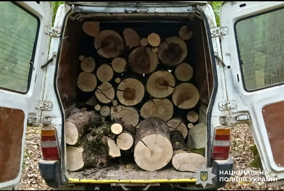 На Рівненщині спіймали порушників, які рубали дерева у заповідниках