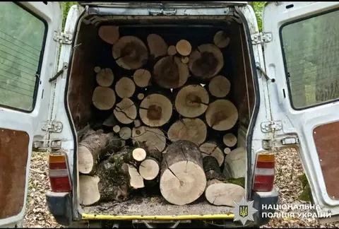 На Рівненщині спіймали порушників, які рубали дерева у заповідниках