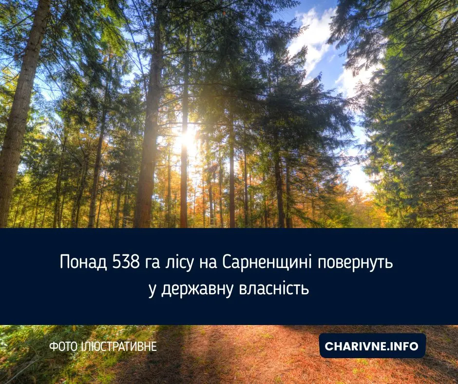 Суд на Рівненщині повернув державі понад 538 га лісу на Сарненщині