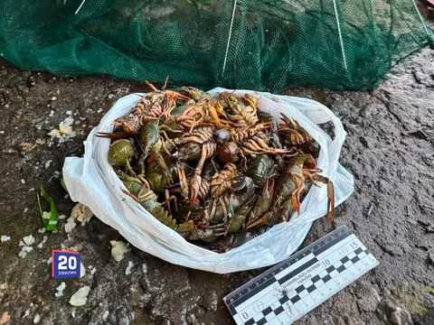 39 раків — майже 130 тисяч збитків: на Вінниччині спіймали браконьєра