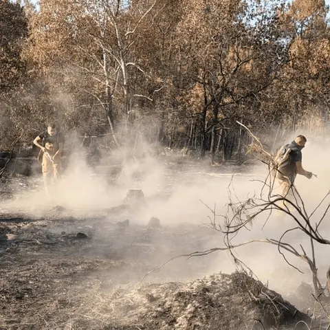 Українські рятувальники повернулися з Франції після двотижневої місії